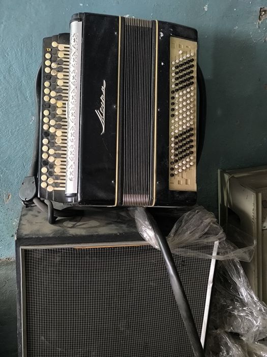 Электробаян Мечта