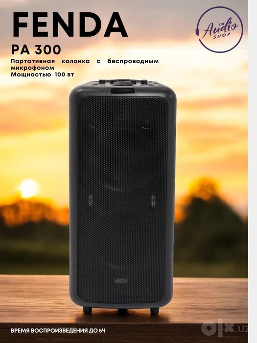 Колонка с микрофоном  Портативная колонка Fenda PA300 100W  сабвуфер