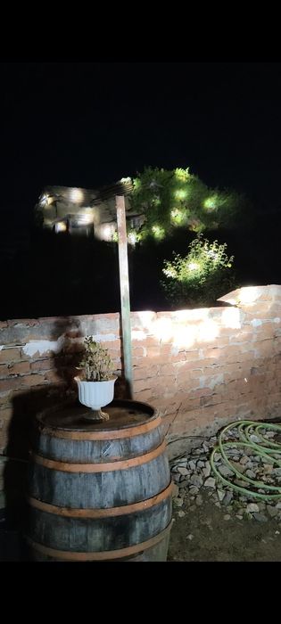 Sky Rose ефек за клуб(дискотека)