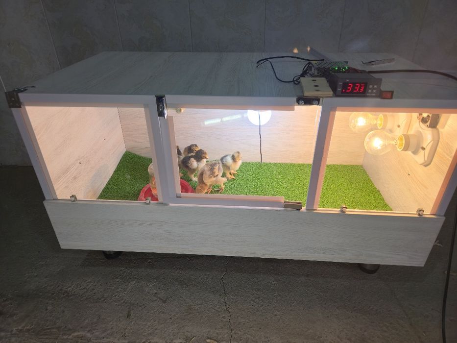 Bruder  Брудер zamonaviy