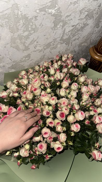 Продам цветы свежие