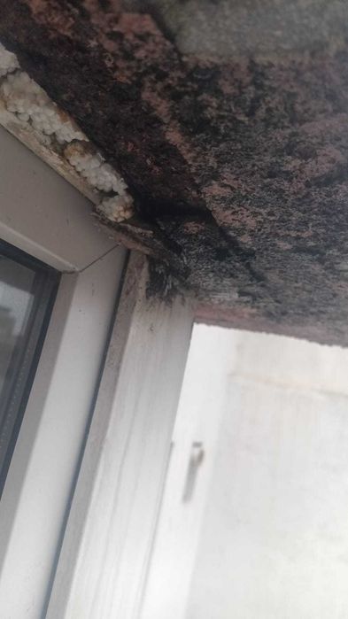 Lucrari reparatii, garantie intre 2 si 5 ani