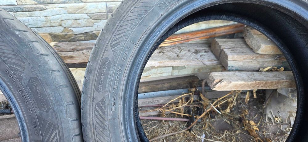Goodyear Efficient Grip  Performance 2