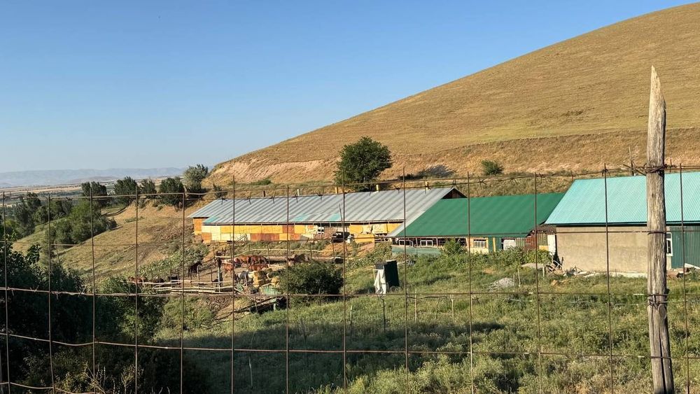 Продаётся фермерское хозяйство 11 га..