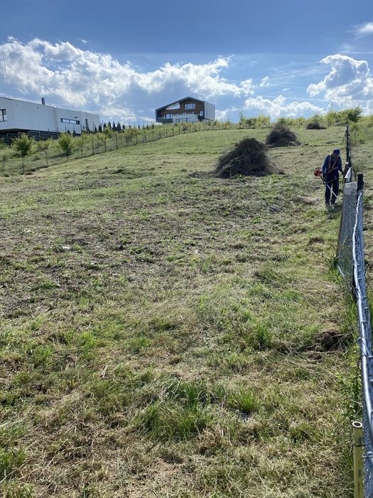 Teren intravilan de vanzare Salicea, Cluj