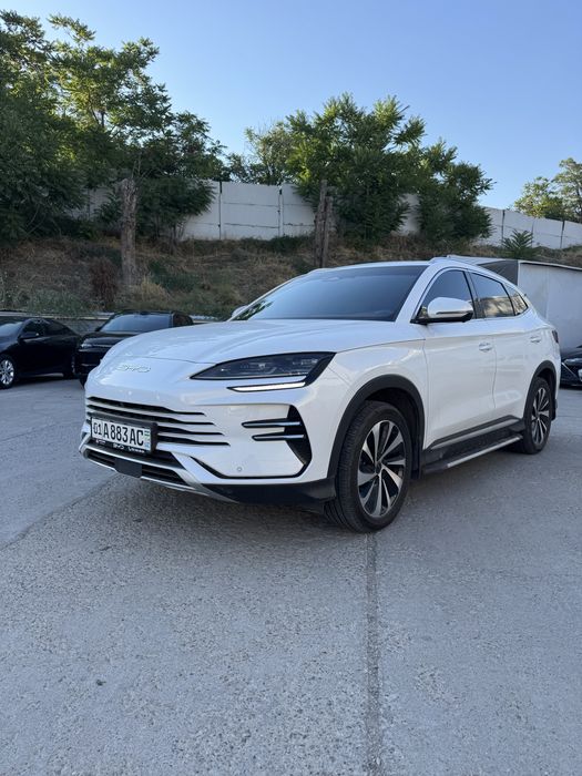 BYD Champion 150km