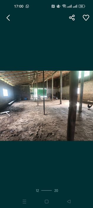 Сдам в аренду ферму с домом...