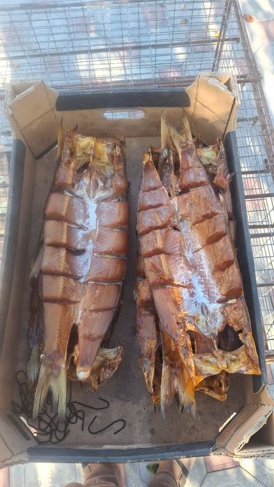 Всё всегда свежей