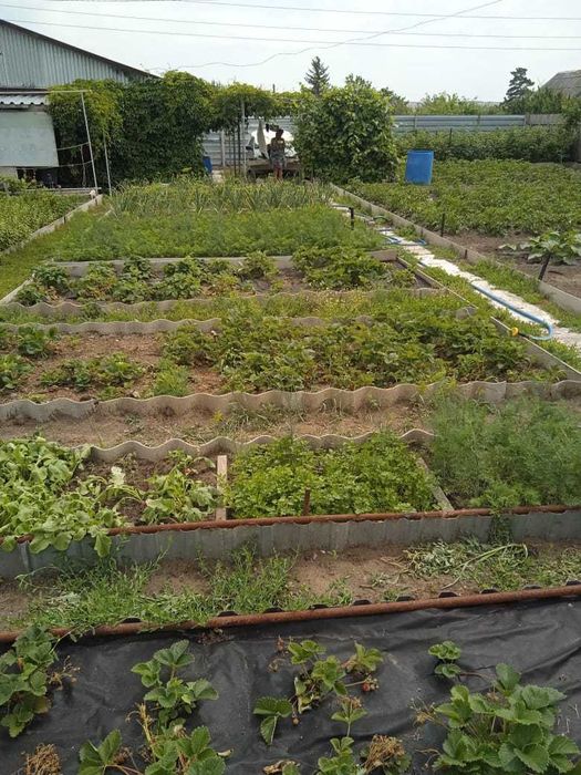 Продам дачу в СО "Геолог"