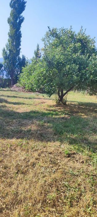 Продаётся земельный участок в Газалкенте посёлок Кызылсу