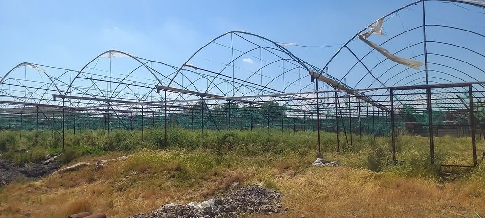 Иссикхона парник сотилади