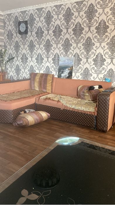 Собаки щенки такса и спаниель