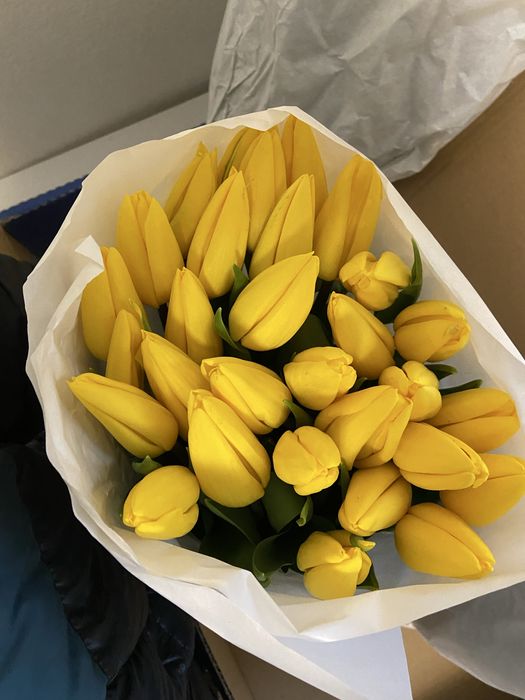 Оптом тюльпаны к 8 марта Алматы