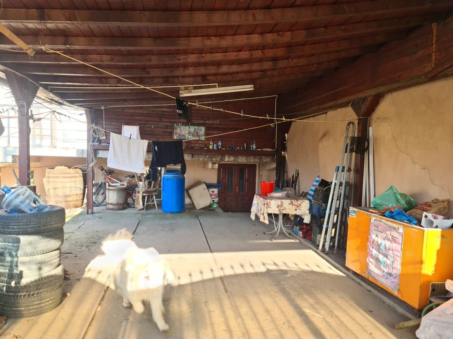 Vila D P M    Catargiu