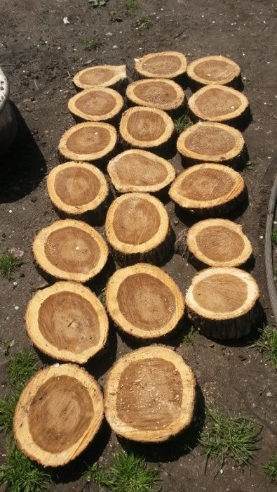 Спил и сан обрезка, кронирование деревьев