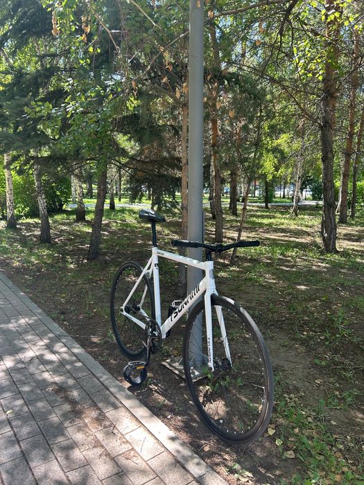 Fixed gear tsunami snm100