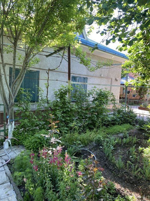 ПРОДАЮТСЯ 2 ДОМА В ОДНОМ ДВОРЕ (на две семьи) в центре Чирчика