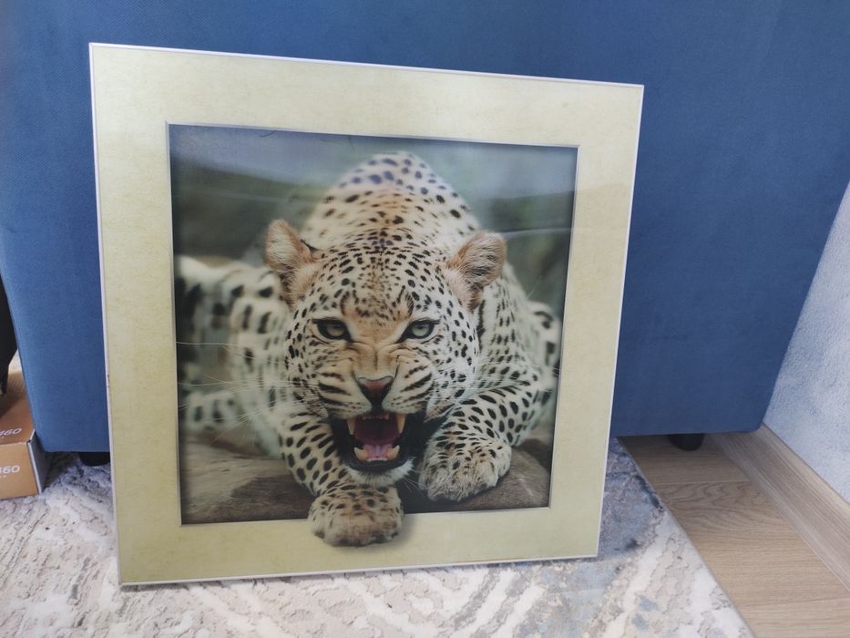 Продам картина Леопард