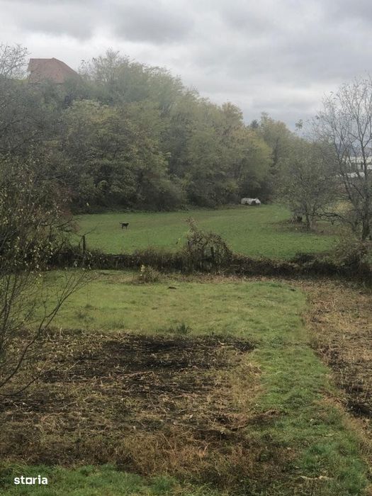 Zona Vitrometan - Gura-Campului - Teren arabil - 3.200  m², Medias