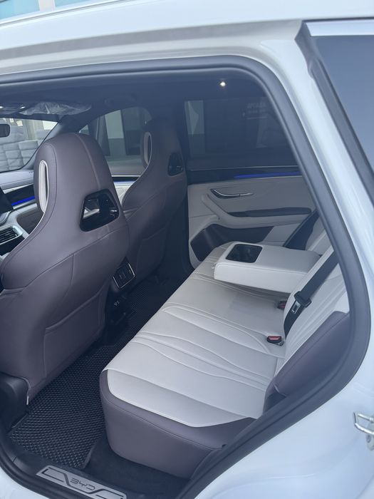 Byd champion smart 3000 km probeg