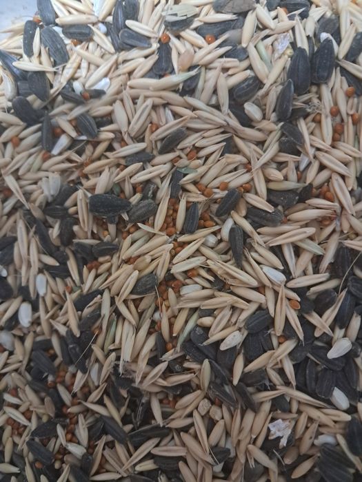 Продам витоменезированый корм для попугаев