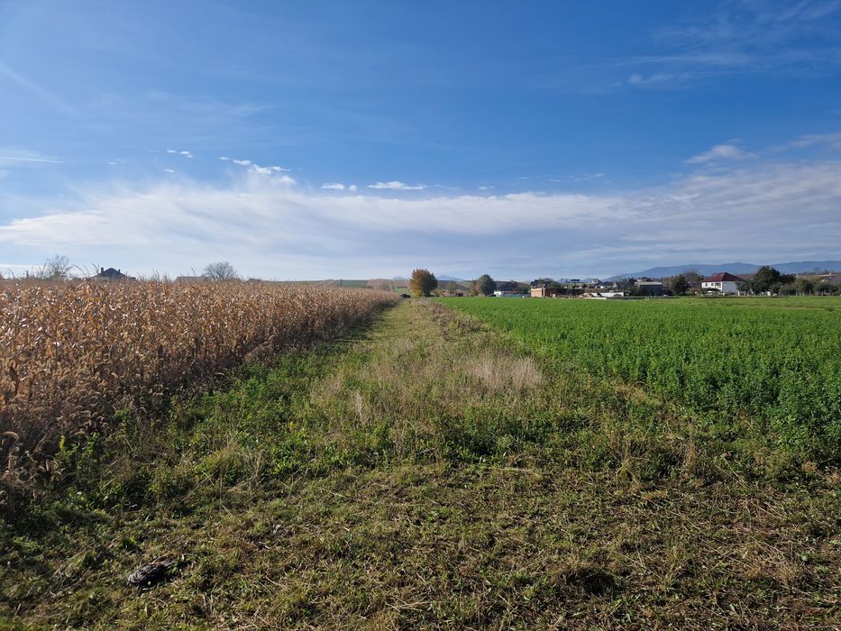 Terenuri de vânzare