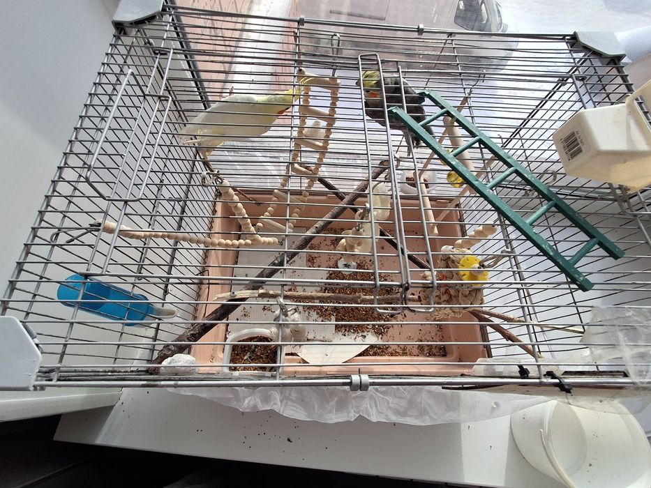 Продаются 2 коррелы