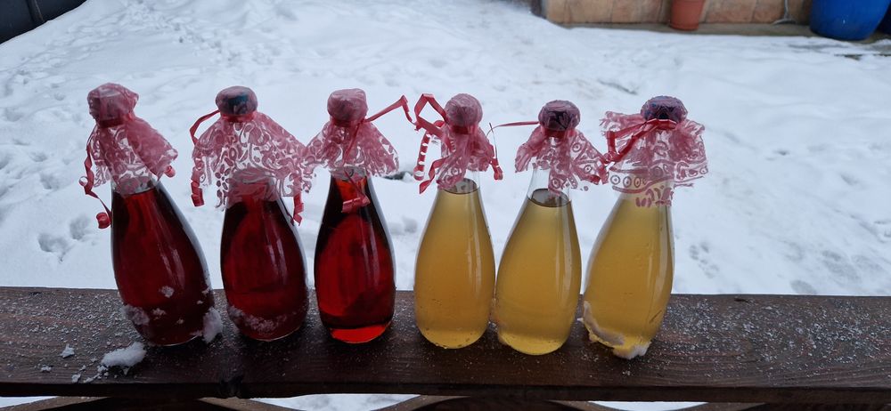 Sirop de brad cu molid si sirop de soc