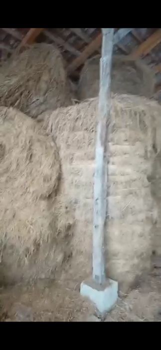 Baloti fan sau Lucerna Livram RO UE  la TIR rotunzi 1,2m x1,2 m cate min 40.dreptunghiulari min  500.nu dam la bucati.
