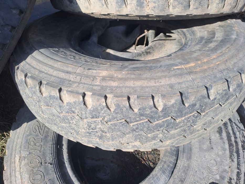 Ховога донгелек сатылады