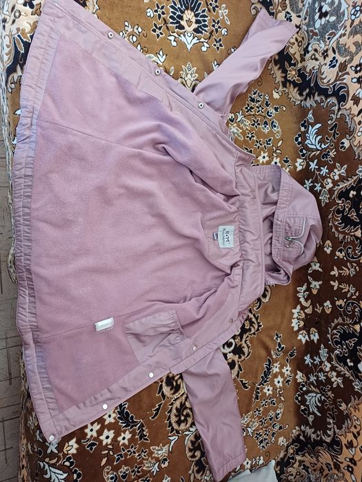 Ветрячок осенний