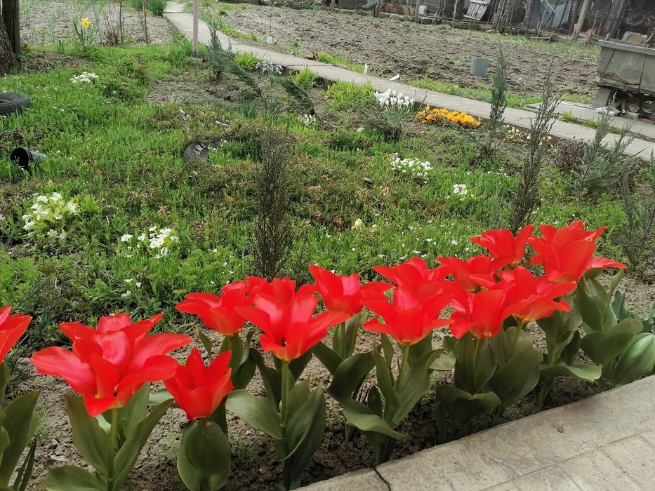 Продава се Къща в Алфатар - 120 кв.м за 276 €/кв.м - Снимка #19