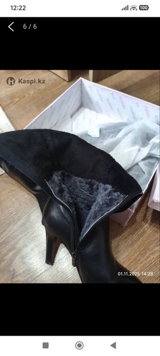 Зимние сапоги erisses