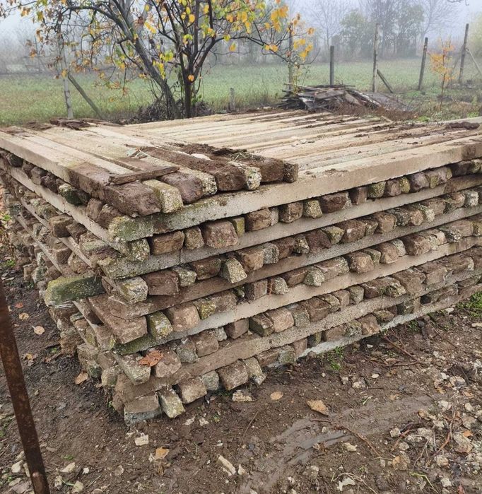 Spalieri de vie de gard din defisari