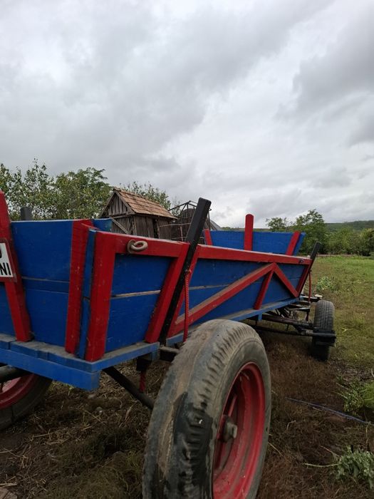 Vând iapă de 4 ani