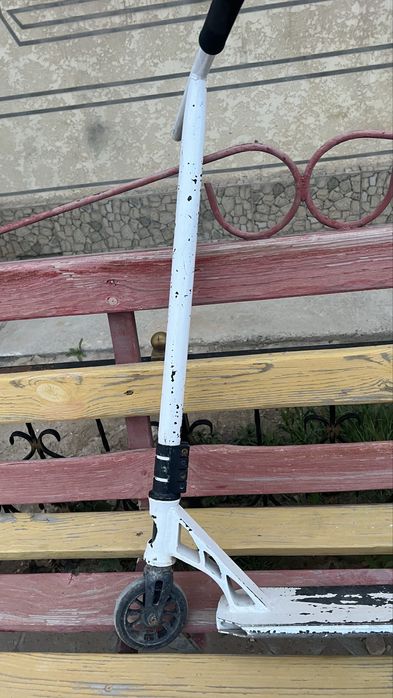 Сомакат трюкавой