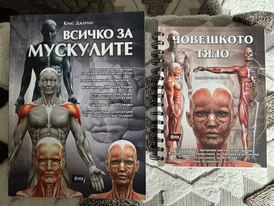 Книга всичко за мускулите/ атлас Човешкото тяло