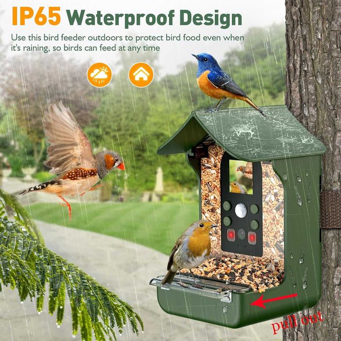 Hrănitor pentru păsări cu camera HD 1080P Poze/Video