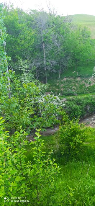 Ок тош Чимбойликда дачабоб жой