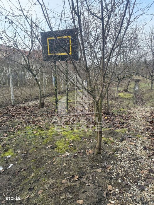 Casa individuala in vatra satului Ghiroda ,teren 1307 mp utili