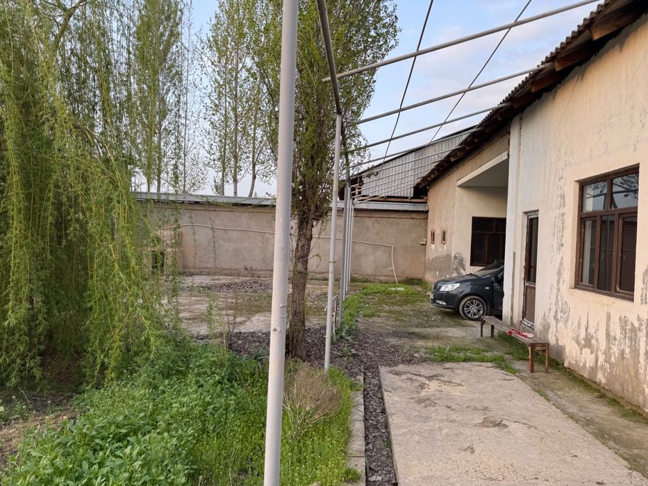 Yangiyolda 20 sotik ferma sotiladi hama sharoit bor