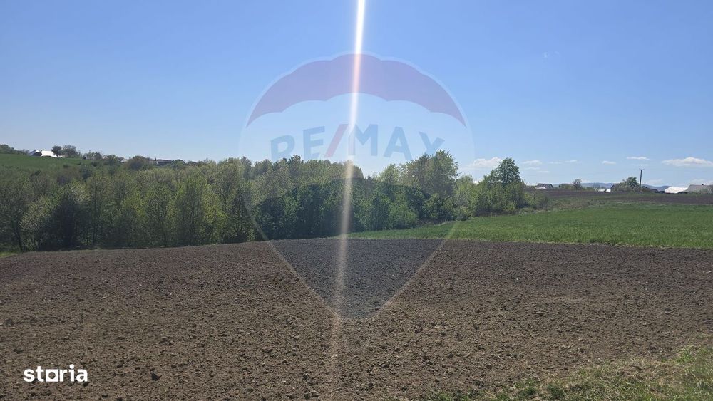 Teren de vanzare in Horodnic de Sus