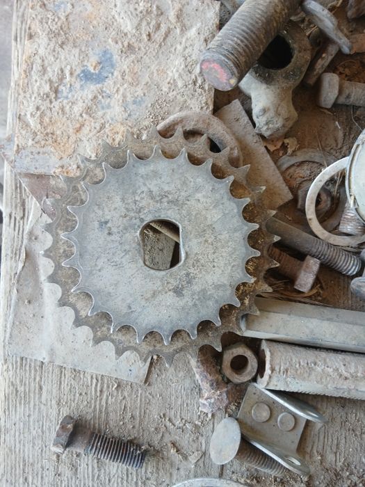 Daychi selkaga zapchaslar bor