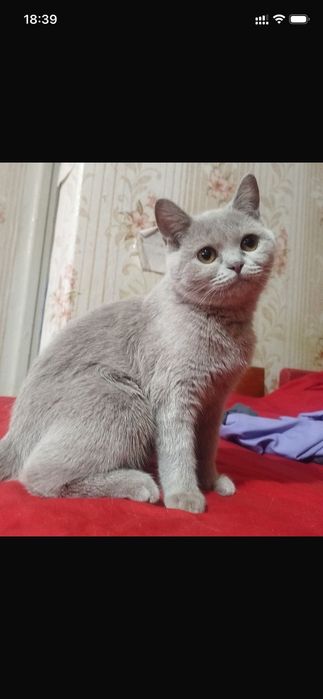 Люся гдет пол года