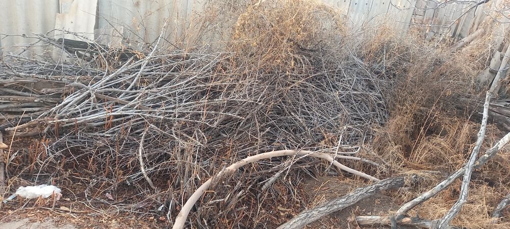 Ағаш отынлар бар,