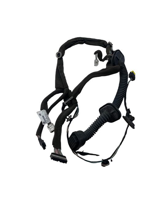 Instalatie Electrica Portiera Stanga Fata Renault Fluence L30_ 2010 ->