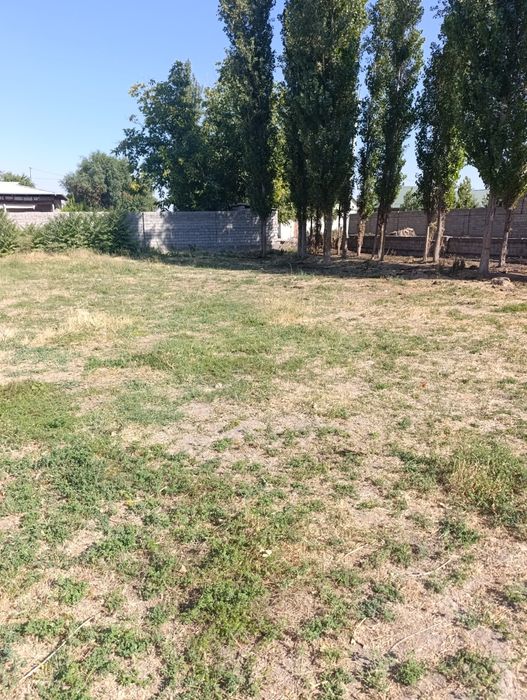 6 соток, Кибрай,Янги Аргин, под застройку,от Ттз 6 км