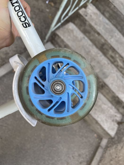 Самокат scooter божья коровка