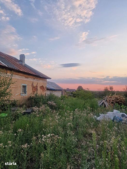 Teren Intravilan De Vânzare – Robănești, Dolj | 5.000 Mp