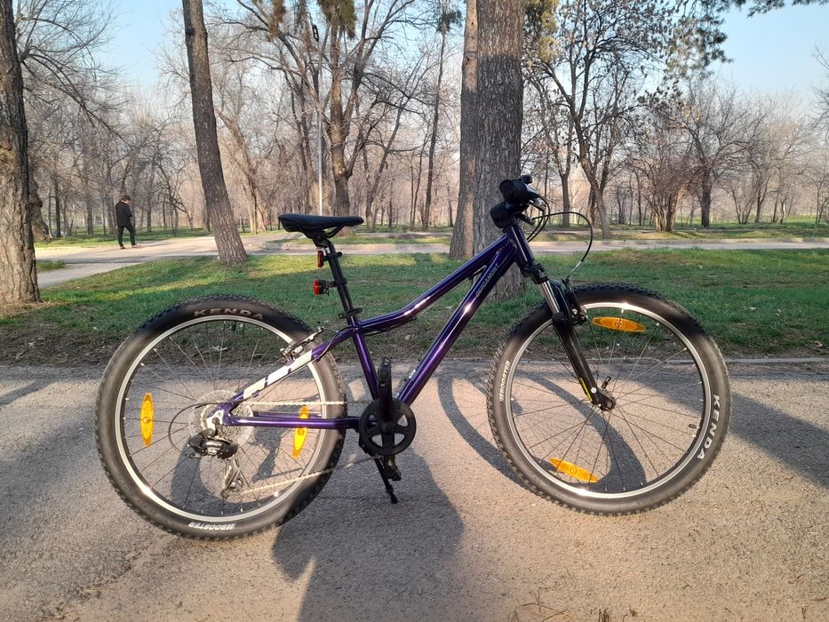 Велосипед Bergamont 24